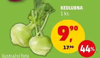 Penny Market KEDLUBNA nabídka