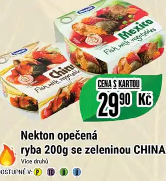 Tamda Foods Nekton opečená ryba 200g se zeleninou CHINA nabídka