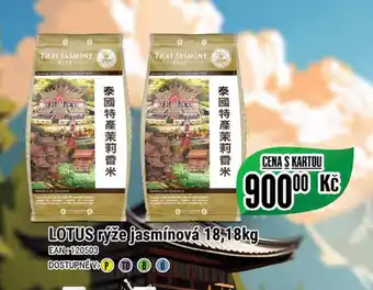 Tamda Foods LOTUS rýže jasmínová 18,18kg nabídka