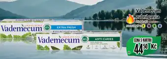 Tamda Foods Vademecum zubní pasta nabídka