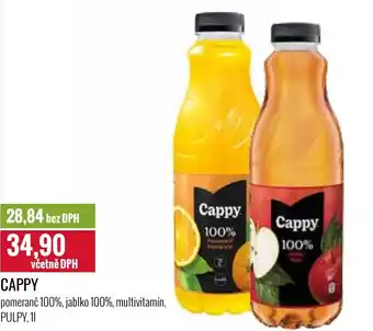 Ratio CAPPY 1L nabídka