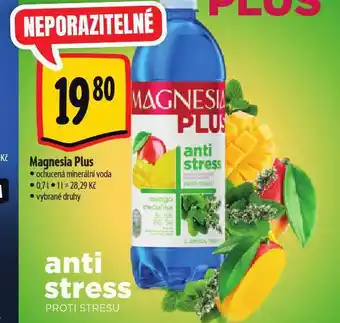 Albert Magnesia plus nabídka