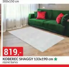 Baumax Koberec nabídka