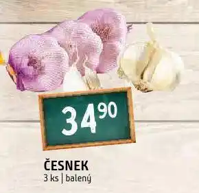 Terno Česnek nabídka