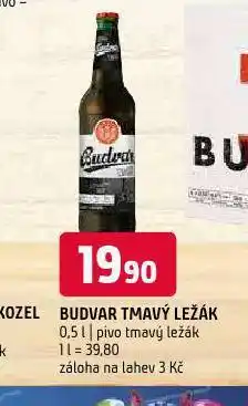 Terno Pivo budvar nabídka
