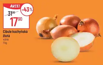 Globus Cibule kuchyňská žlutá nabídka