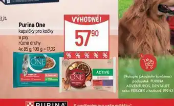Globus Purina one kapsičky pro kočky nabídka