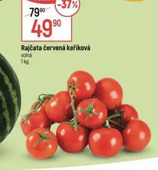 Globus Rajčata červená keříková nabídka