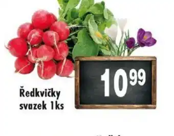 Qanto Ředkvičky svazek 1ks nabídka