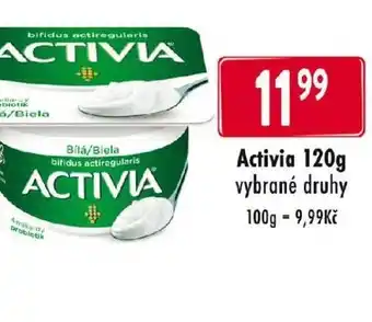 Qanto Activia 120g nabídka