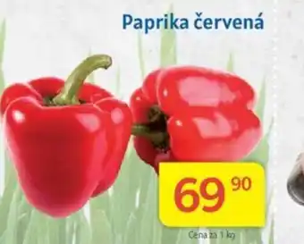 Kubík potraviny Paprika červená nabídka