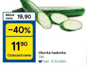 Tesco Okurka hadovka nabídka
