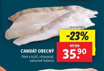 Lidl Candát obecný nabídka