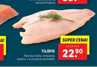 Lidl Tilápie nabídka