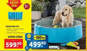Lidl Bazén pro psy nabídka