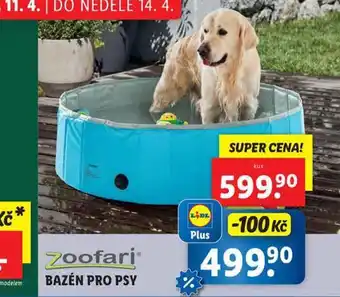 Lidl Bazén pro psy nabídka