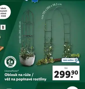 Lidl Oblouk na růže nabídka
