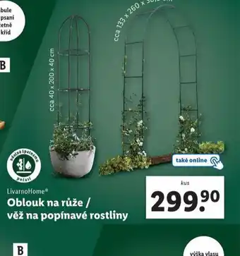 Lidl Věž na popínavé rostliny nabídka