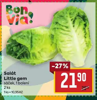 Billa Salát Little gem nabídka