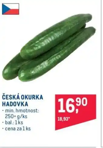 Makro ČESKÁ OKURKA HADOVKA nabídka