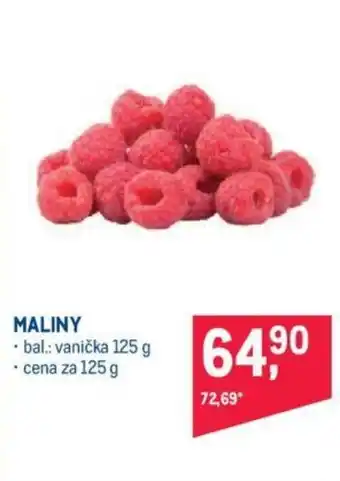 Makro MALINY nabídka