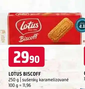 Terno LOTUS BISCOFF nabídka