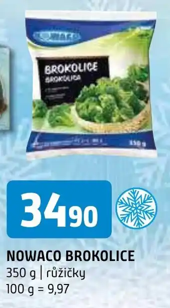 Terno NOWACO BROKOLICE nabídka