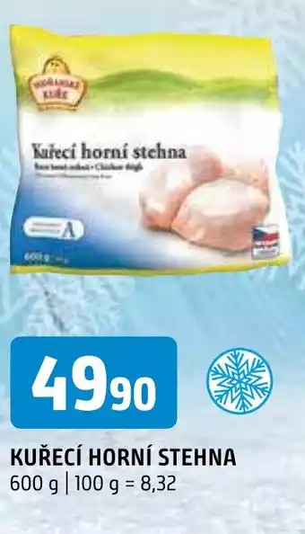 Terno KUŘECÍ HORNÍ STEHNA nabídka