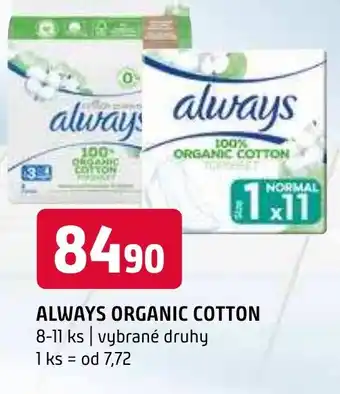 Terno ALWAYS ORGANIC COTTON nabídka