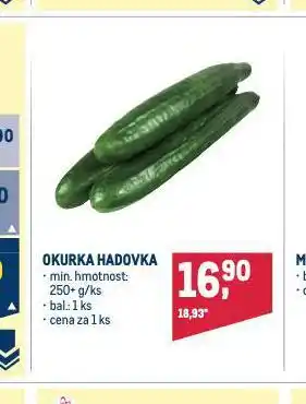 Makro Okurka hadovka nabídka