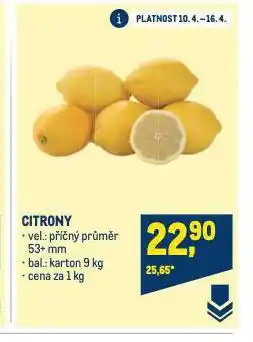 Makro Citrony nabídka