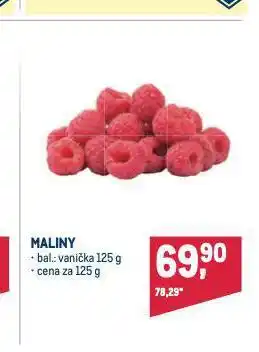 Makro Maliny nabídka