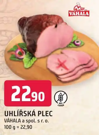 Trefa UHLÍŘSKÁ PLEC nabídka