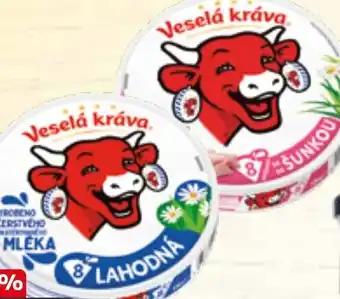 Flop VESELÁ KRÁVA nabídka
