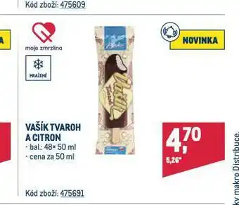 Makro Vašík zmrzlina nabídka