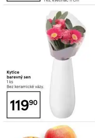 Tesco Kytice barevný sen nabídka