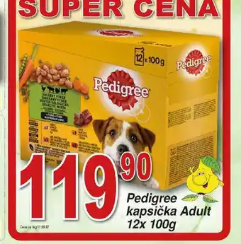 Hruška Pedigree kapsičky pro psy nabídka