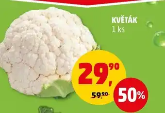 Penny Market KVĚTÁK nabídka
