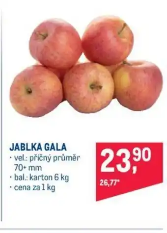 Makro JABLKA GALA nabídka