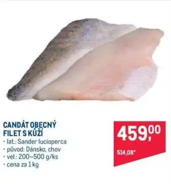Makro CANDÁT OBECNÝ FILET S KŮŽÍ nabídka