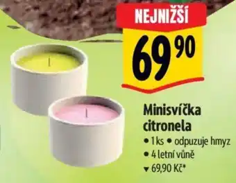Albert Minisvíčka citronela nabídka