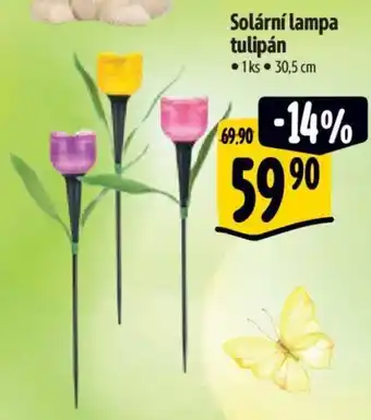 Albert Solární lampa tulipán nabídka