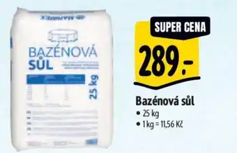 Albert Bazénová sůl nabídka