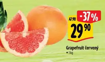 Albert Grapefruit červený nabídka