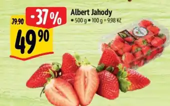 Albert Albert Jahody nabídka