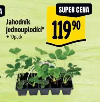 Albert Jahodník jednouplodíci nabídka
