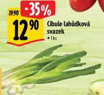 Albert Cibule lahůdková svazek nabídka