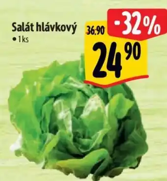 Albert Salát hlávkový nabídka