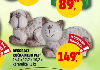 Penny Market Dekorace kočka nebo pes nabídka
