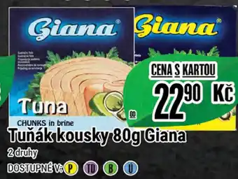 Tamda Foods Tuňák kousky 80g Giana nabídka